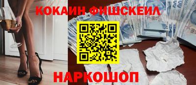тгк Кингисепп