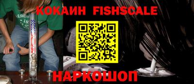 тгк Кингисепп