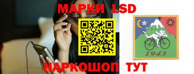 тгк Кингисепп
