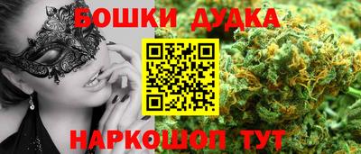 тгк Кингисепп