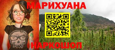 тгк Кингисепп