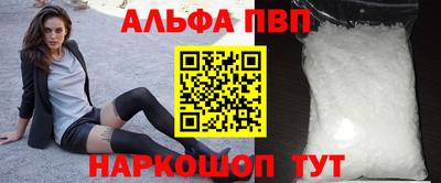 тгк Кингисепп