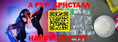 тгк Кингисепп