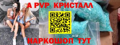 тгк Кингисепп