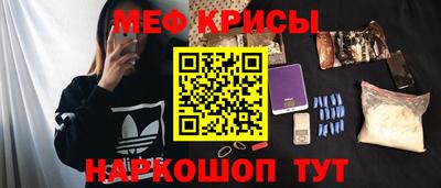тгк Кингисепп