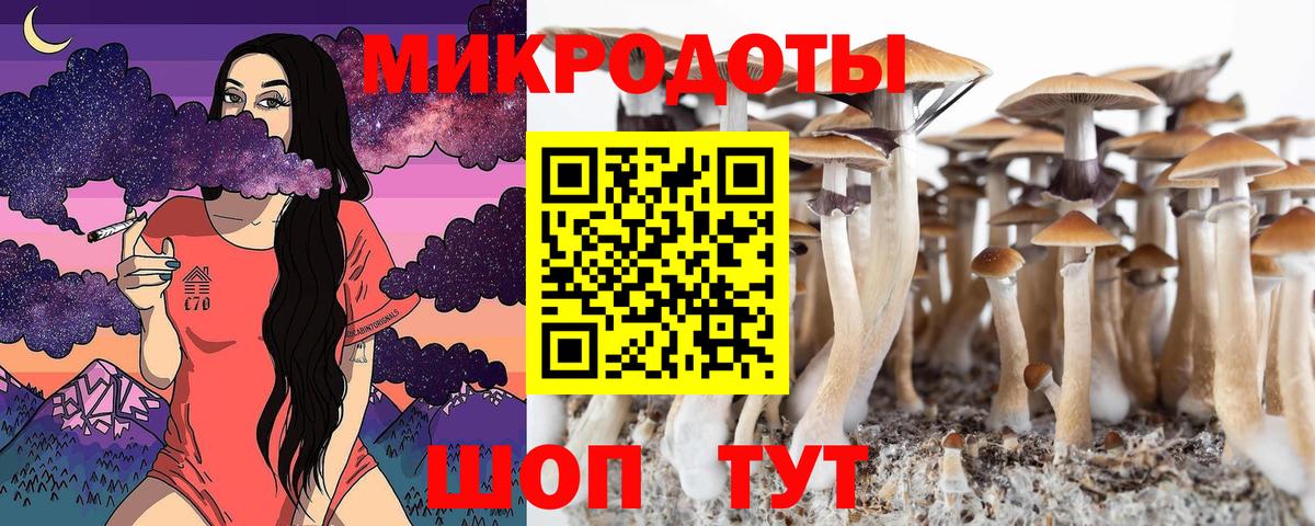 Псилоцибиновые грибы ЛСД  Галлюциногенные грибы ЛСД  Вход с VPN  Курчалой 