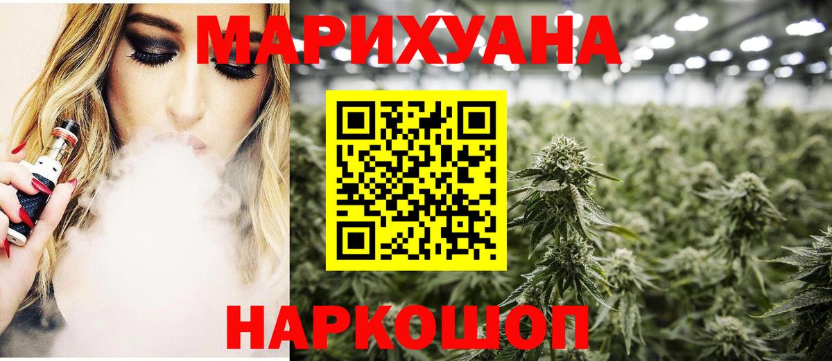 Шишки марихуана OG Kush  Вход с VPN  Бошки марихуана план  Шишки марихуана конопля  Курчалой 