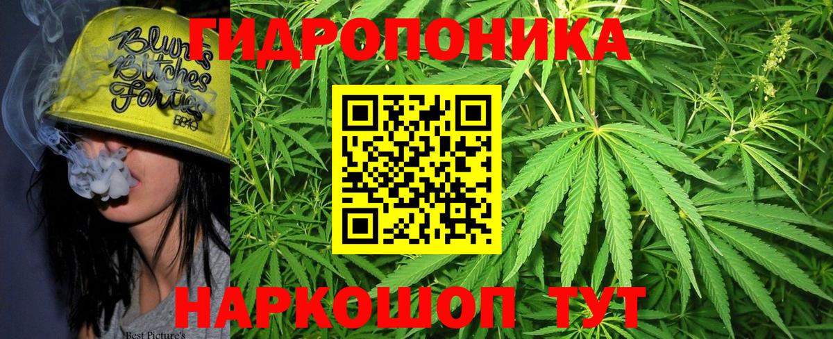 Шишки марихуана SATIVA & INDICA Курчалой